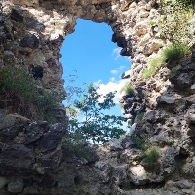 Po svetonedeljskim bregima do Okica Izlet Pd Susedgrad 5 2025