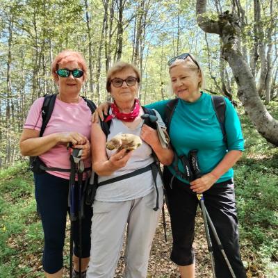 Prokletija vrganj Pd Susedgrad 7 2025