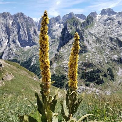 Izlet Prokletija Pd Susedgrad 7 2025